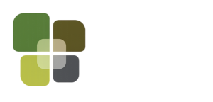 Mcg transparente